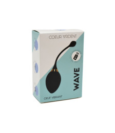 WAVE, Un Œuf vibrant noir USB avec télécommande, dans un silicone médical doux et lisse - B50BLK